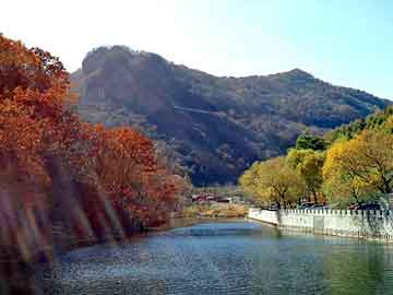 澳门二四六天天彩图库，黑牛豆奶